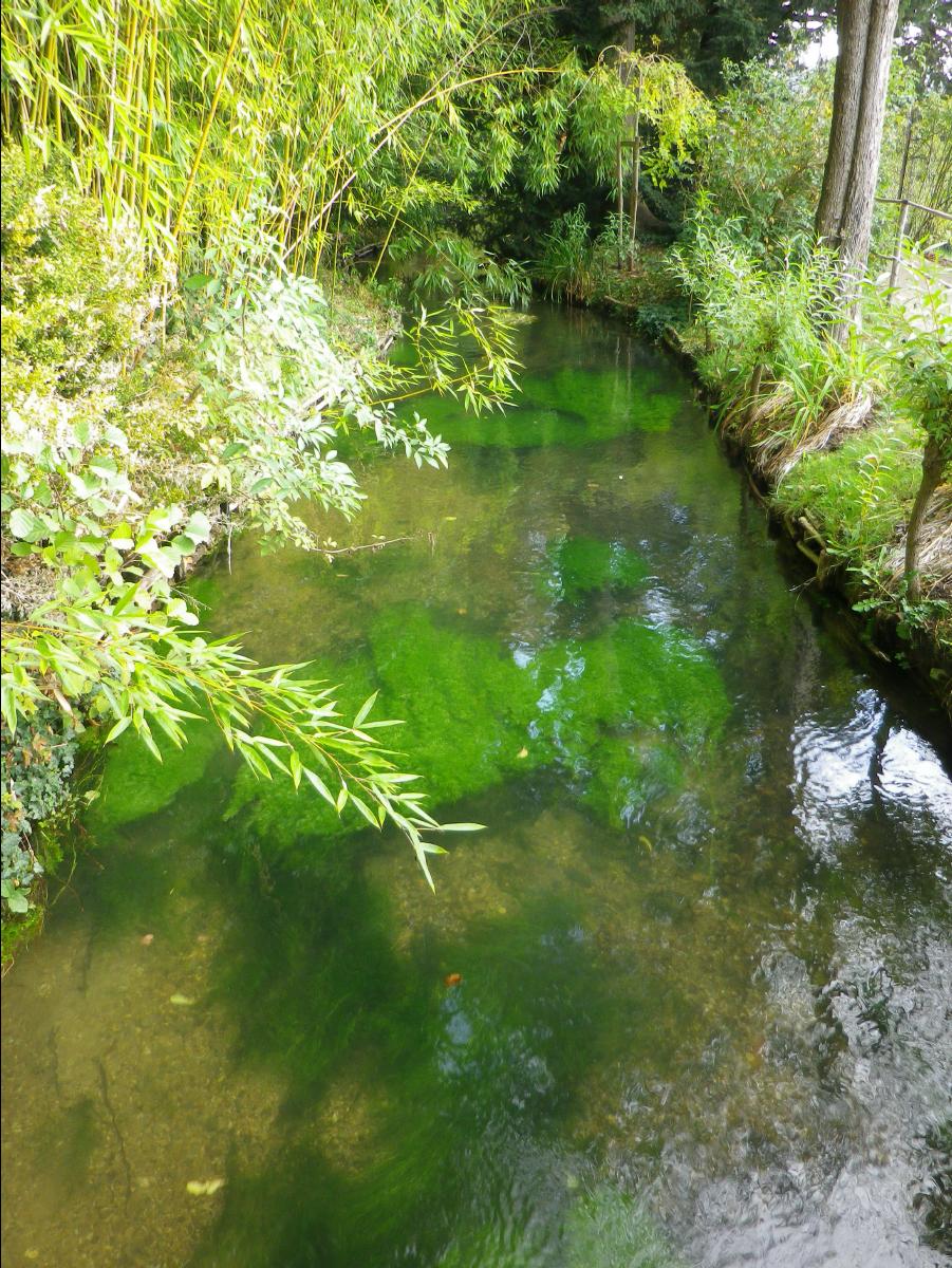Maison et Jardine de Monet20